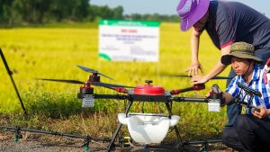 Vietnam’s Rice Fields Embrace Smart Spraying Technology