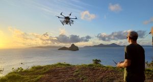 Preserving Island Ecosystems