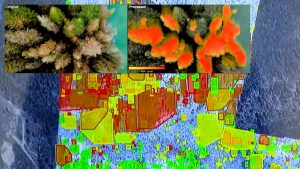 AI-Driven Drones Identify Wildfire Danger: BCIT’s Innovative Firefighting Solution